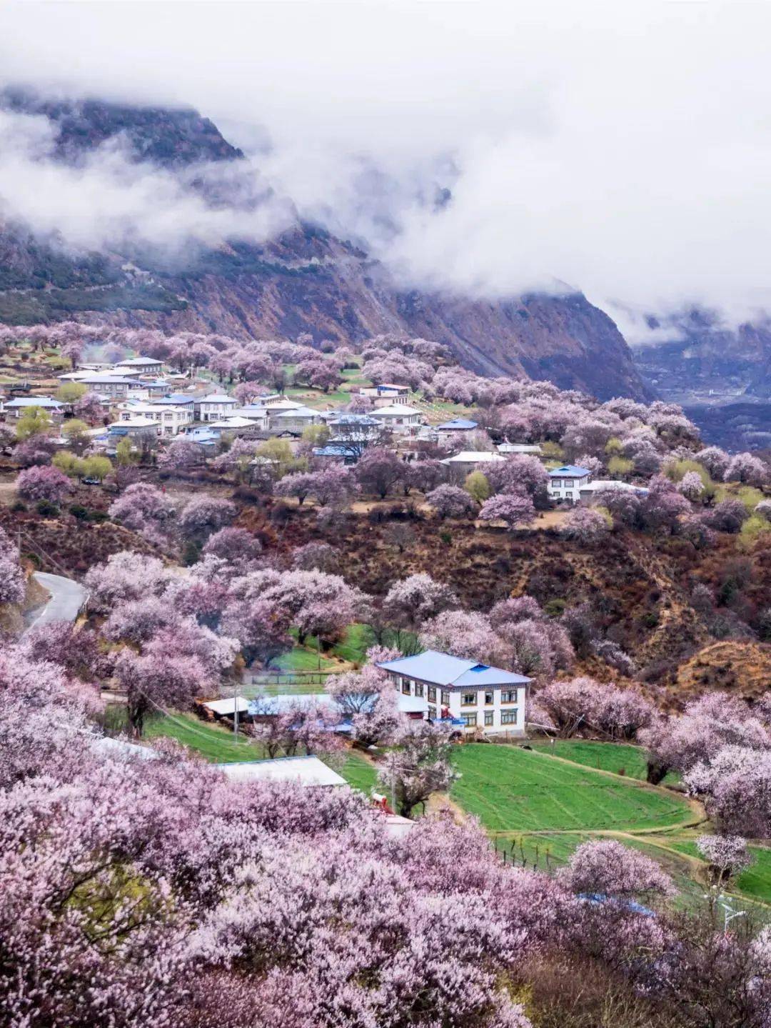 桃花山社区天气预报解析与居民生活影响观察