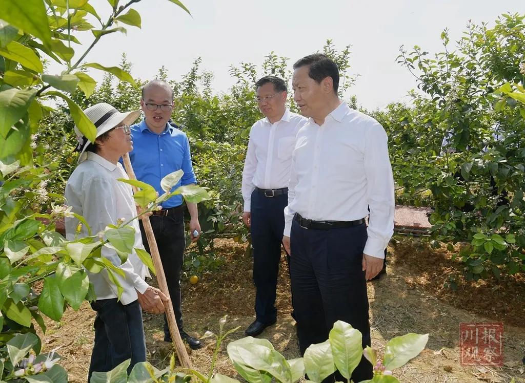 广安区医疗保障局最新发展规划概览