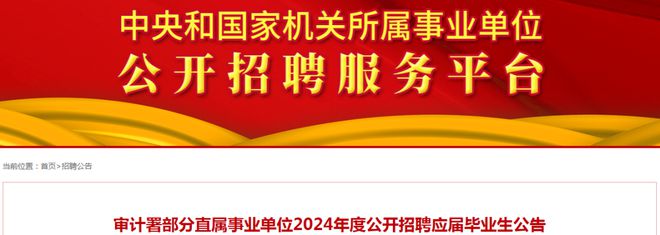 革吉县审计局最新招聘信息与招聘细节深度解析