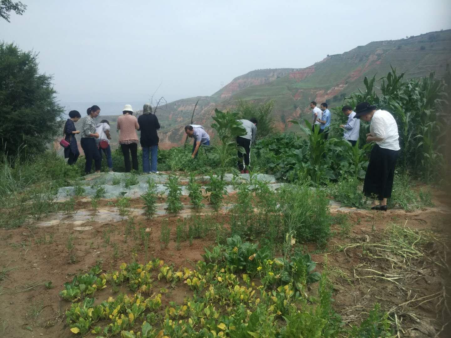 东乡县司法局最新动态报道