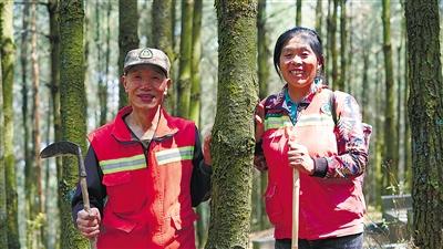 松林林场天气预报更新通知