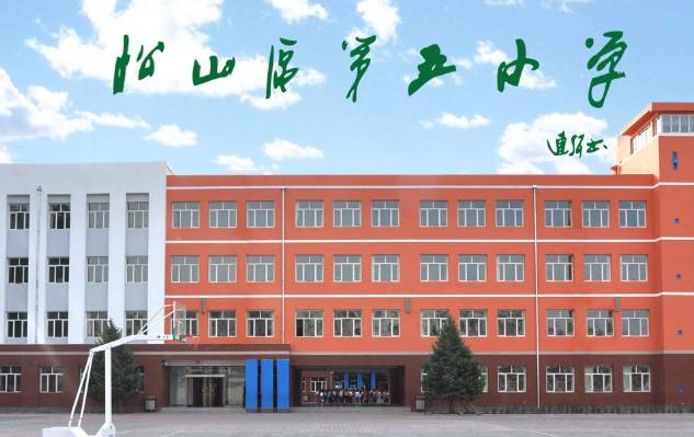 红山区小学最新招聘公告概览