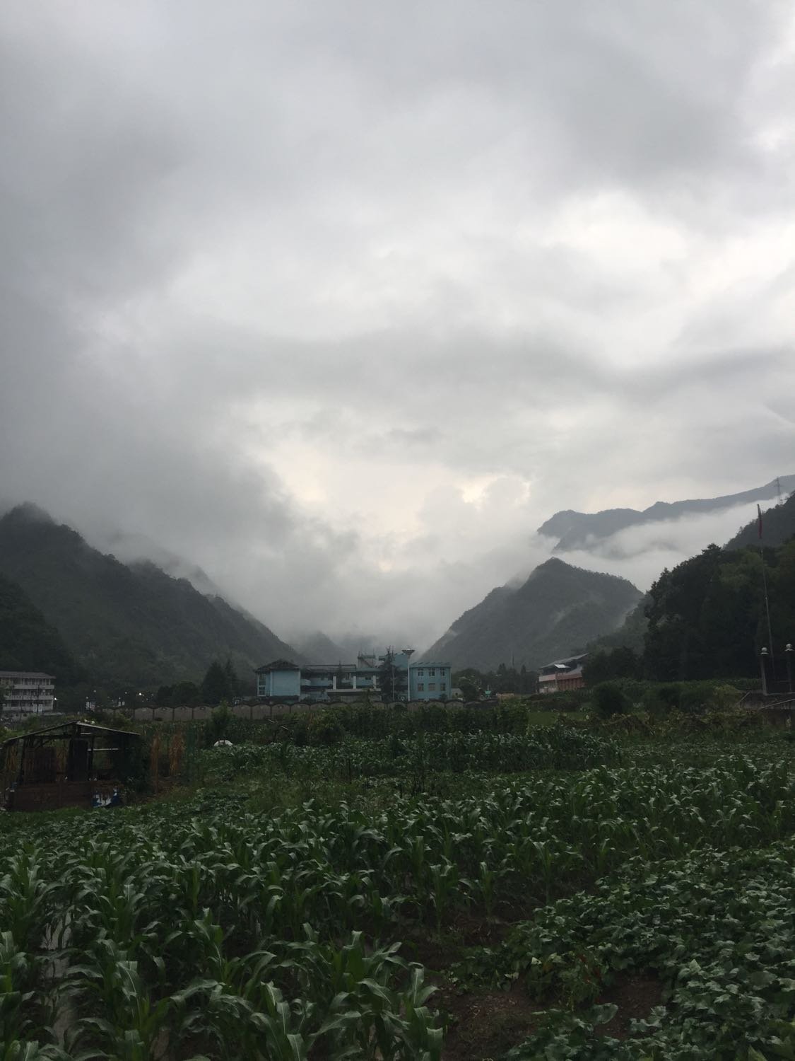 奶桑村今日天气预报