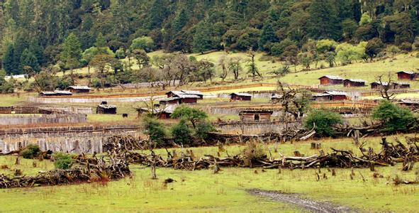 吉措村天气预报更新通知