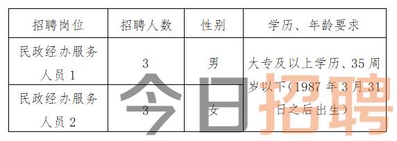 头屯河区数据和政务服务局招聘公告详解