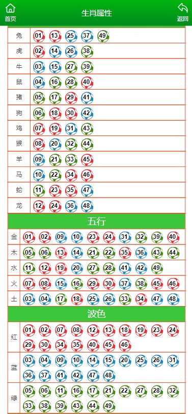 澳门天天彩期期精准十二生肖,高效执行计划设计_交互版4.688