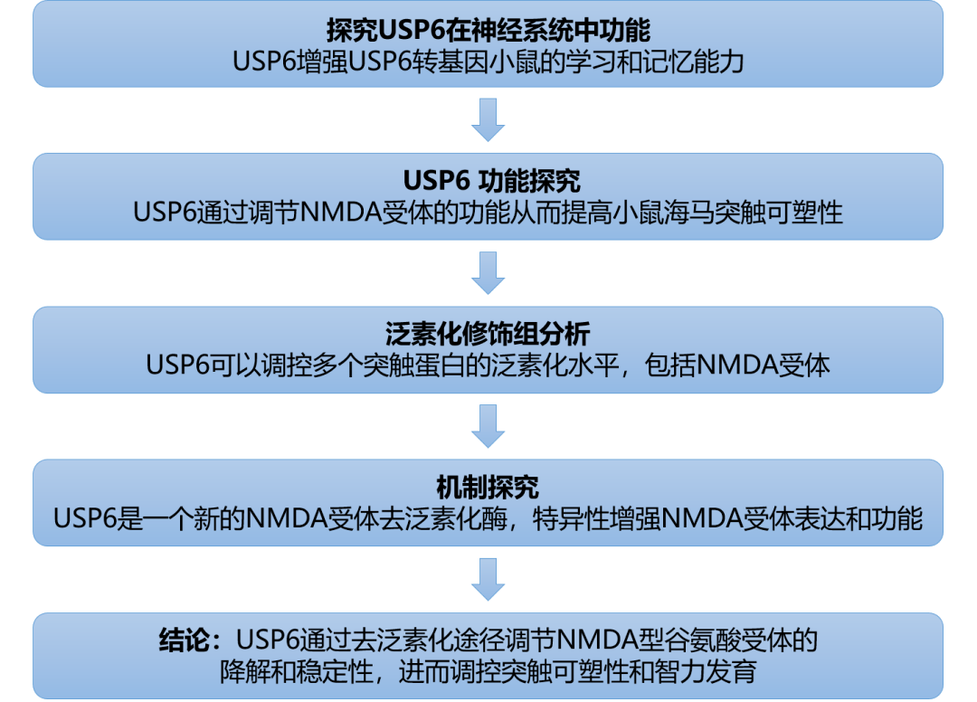 新澳门免费资料大全使用注意事项,实地评估策略数据_基础版36.525