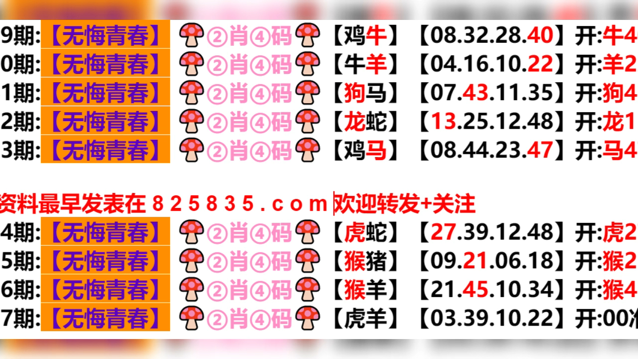 2024新奥门天天开好彩大全85期,深度应用数据策略_V292.701