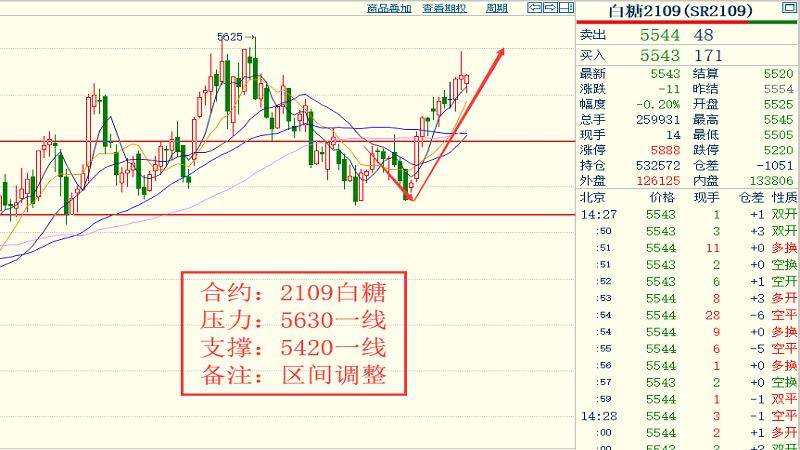 三肖三期必出特马,最新解答解释定义_pro87.575