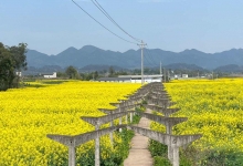 石埇镇天气预报更新通知