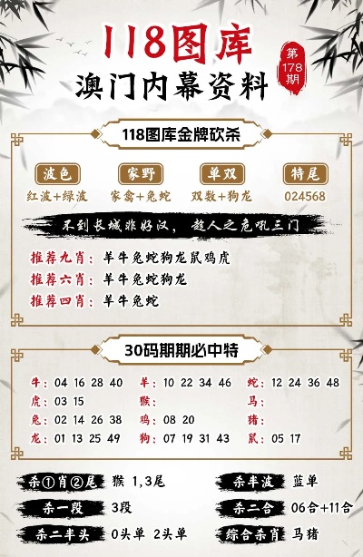 澳门100%最准一肖,经典分析说明_钻石版2.824