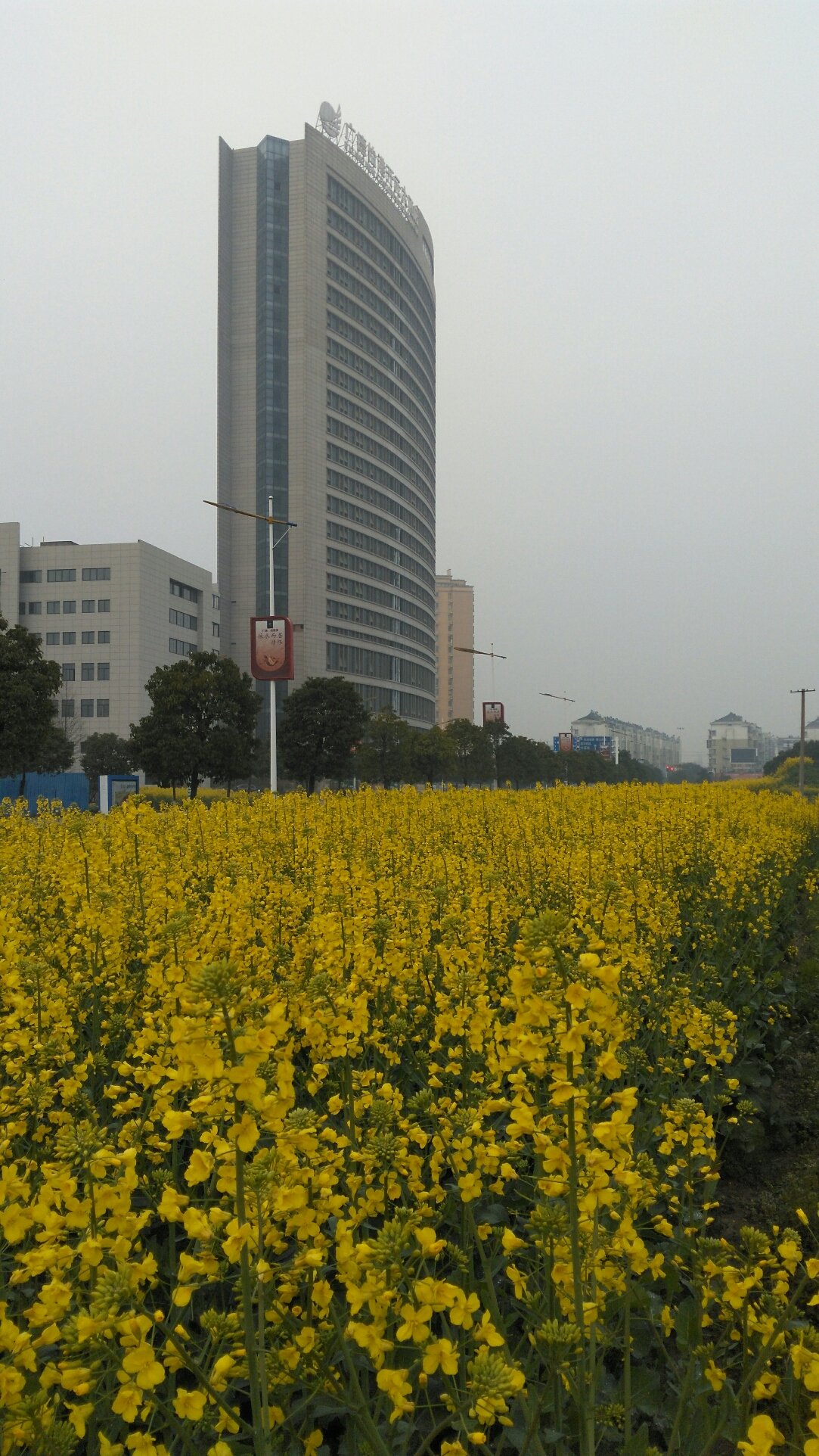 广卫街道未来一周天气预报及天气变化预测