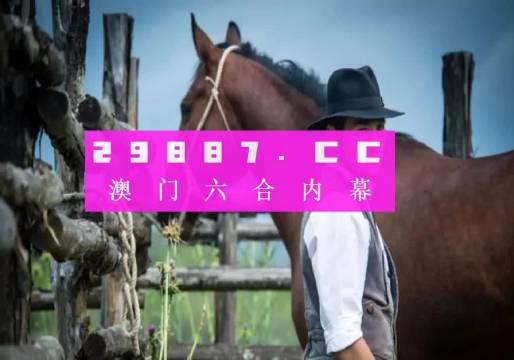 澳门正版一肖一码,适用策略设计_动态版49.438