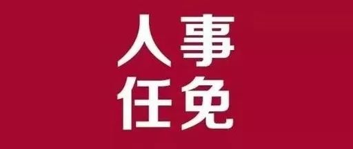 汉沽区审计局人事任命启动新篇章，推动审计事业蓬勃发展