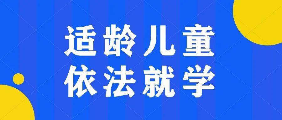 共和县小学最新招聘信息及招聘动态