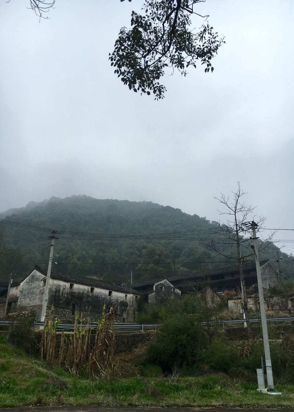 峰灵镇天气预报更新通知