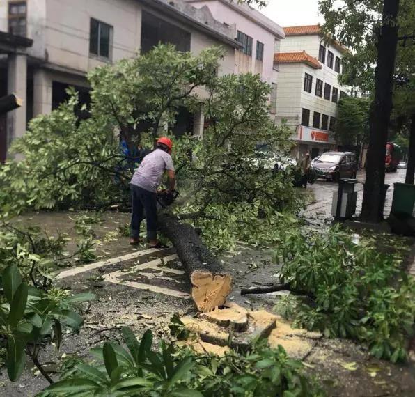 罗源湾天气预报更新