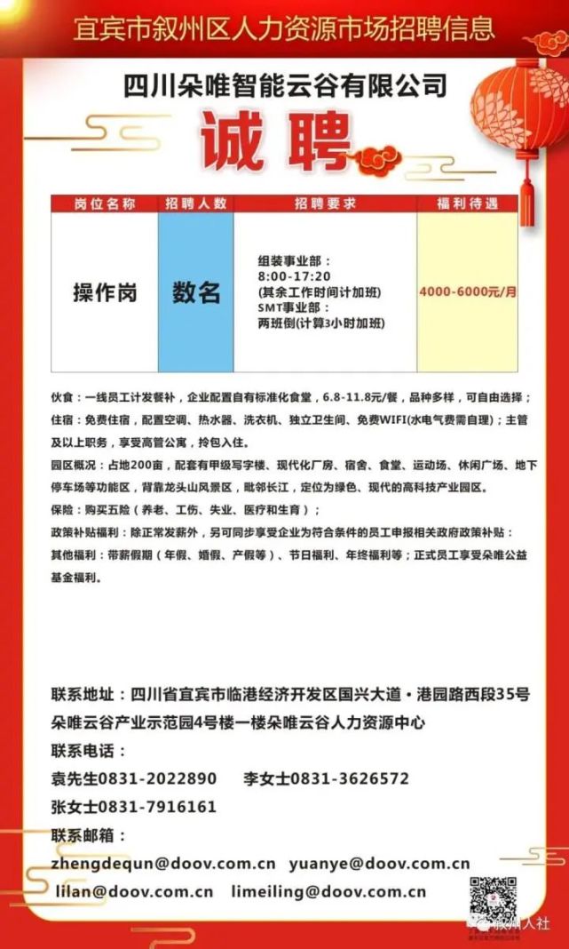 阆中市数据和政务服务局招聘公告详解