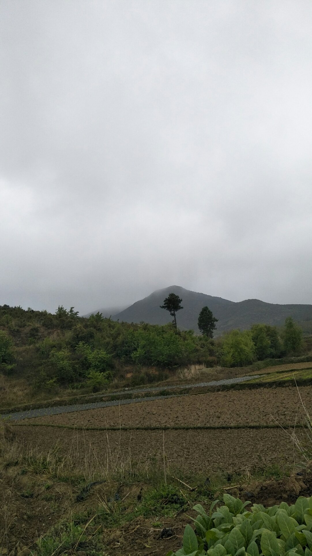 马市坪乡天气预报更新通知