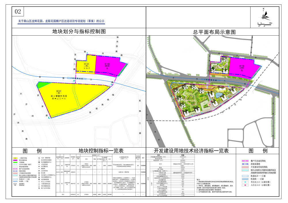 岳阳楼区计生委最新项目动态概览