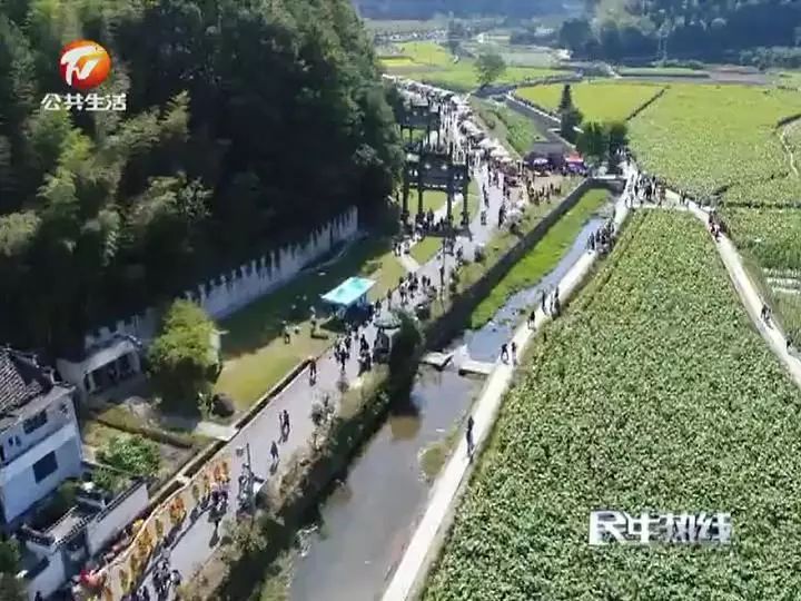 胥口镇天气预报更新，最新天气情况概览