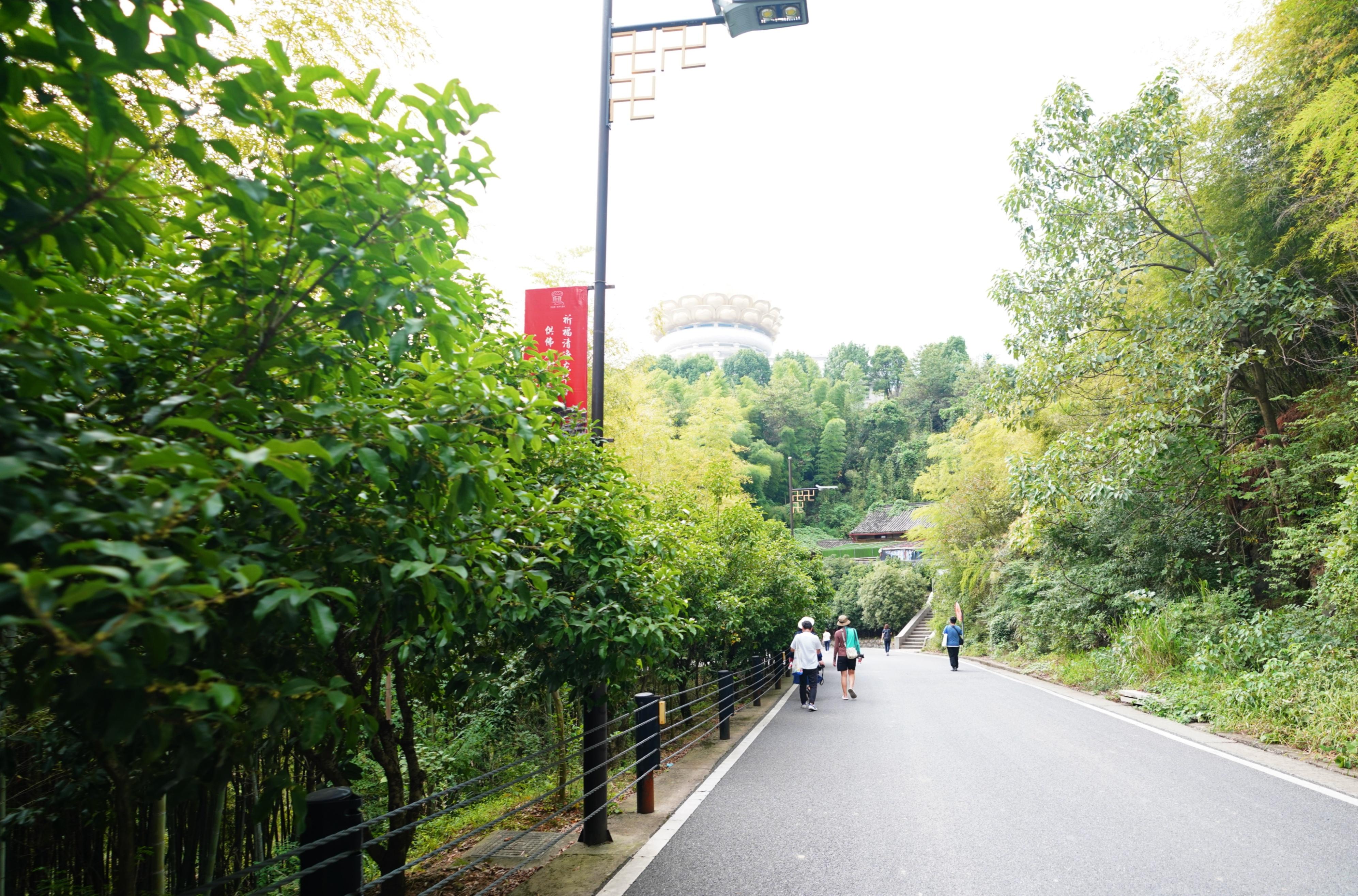 桂花林村天气预报更新通知